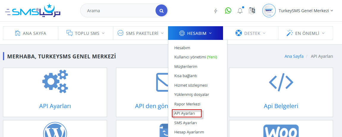 Turkey SMS API Documentation
